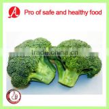 High Quality Frozen Broccoli Floret