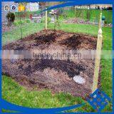 Useful Fish Trap Hexagonal Wire Mesh thumbnail-2