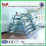 High Quality Layer Cages/Design Layer Chicken Cages/layer Chicken Battery Cage thumbnail-1