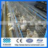 Hot Sale Good Quality Layer Chicken Cage For Poultry Farm thumbnail-6