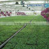PC Sheet Greenhouse for Vegetable-Growing thumbnail-1