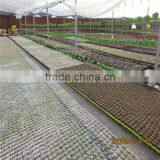Farm Greenhouse With AL Frame and Fiberglass thumbnail-3
