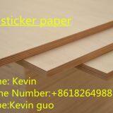 Film Faced Plywood thumbnail-3