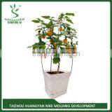 2015 New Product Factory Price Plastic Flowerpot for Sale China Direct Manufacturer thumbnail-1