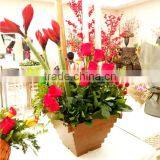 310*210 Biodegradable Colorful Plant Fiber Flower Pot thumbnail-4