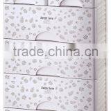 Deluxe Modern Double Shoe Storage Cabinet thumbnail-6