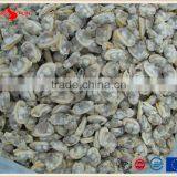 Grade A Standard IQF Baby Clam Meat thumbnail-5