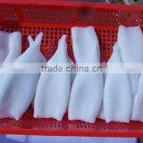 Newly Hot Selling Frozen Illex Squid Tube for Sale thumbnail-1