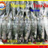 MUROAJI FOR TUNA BAIT thumbnail-4