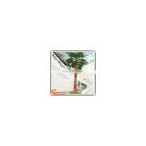 Artificial Palm Tree Fiberglass Material Outdoor/indoor Decoration Electric Palm Tree thumbnail-4
