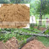 Agarwood Incense Powder - Cheap Price, High Quality Oud Wood thumbnail-1