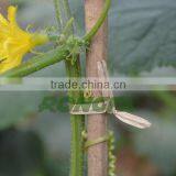 3mm x 25m Environmentally Gardening Wire Twist Ties in Dispenser thumbnail-3