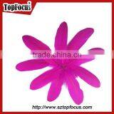 Dyed Colored Purple and Black Goose Feather and Down for Sale thumbnail-5