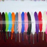 Wholesale Multicolor Decotation Goose Feather for Party and Wedding15-20cm thumbnail-3