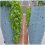 Sightseeing Agriculture Eco-friendly Use Breathable Healthy Seeding Planting Foam