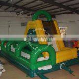 Commercial Hot Used Swimming Pool Slide Inflatable Slide for Pool for Sale thumbnail-4
