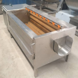 Fruit And Vegetable Washer Machine Chilli Cleaning With Brush Roll