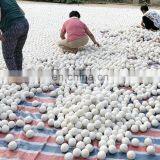 Cat Chasing Toys Colorful Wool Ball thumbnail-3