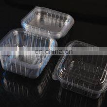 Plastic Plate Making Machine/automatic Vacuum Forming Machine thumbnail-3