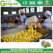 Complete Mango Jam Paste Puree Processing Plant thumbnail-2