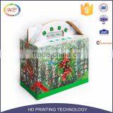Custom Packaging Corrugated Cardboard Boxes for Fruit and Vegetable