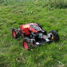 Brush Mower Lawn Mowers From China Mow the Lawn Euro 5/EPA Remote Controlled Garden Mower Zero Turn Vigorun Lawn Mower thumbnail-1