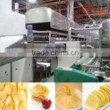 Guaqiao Brand Potato Chips Production Line