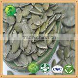 Sugar Beet Pulp Pellet Wholesale Pumpkin Seeds GWS Pumpkin Seeds thumbnail-1