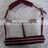 Horse Nylon Halter thumbnail-1