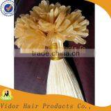 Top Quality 5A Fashion Hair Style Wholesale Brazilian Hair Remy U Tip Hair thumbnail-1