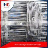 High quality guaranteed galvanized low carbon galvanized wire mesh for grassland