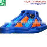 Giant Inflatable Water Slide for Adult and Children thumbnail-2