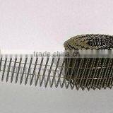 High Quality Free Sample Common Coil Nail thumbnail-2