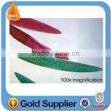 Medical Science Animal Pathological Prepared Slides