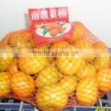 Fresh Honey Sweet Mandarin Orange thumbnail-1