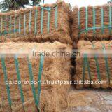 Coconut Fiber thumbnail-1
