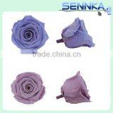 Natural Preserved Fresh Flowers Preserved Roses Wholesale thumbnail-3