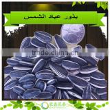 Sell Top Quality Sunflower Seeds Nuts Variety