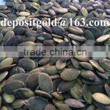 GWS Pumpkin Seeds Pirce Grade A thumbnail-1