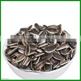 Bulk Sunflower Seeds 5009 With High Quality from Inner Mongolia For Sale
