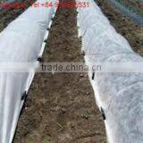 PP Spunbond Non-woven Agricultural Fabric 45gsm