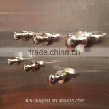 Neodymium Magnet Strong Magnetic Push Pin thumbnail-2