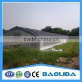 15 Years Warranty 100% Single Span Tunnel Greenhouse thumbnail-5
