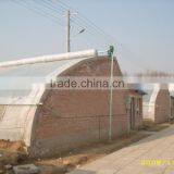 Agricultural Greenhouses thumbnail-2