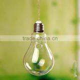 Creative Indoor Decoration Bulb Shaped Hanging Clear Glass Vase thumbnail-3