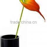 SJ1101584 High Imitation Decorative Anthurium Artificival Flower thumbnail-5