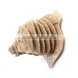 ECO-Friendly & Recyclable Cardboard Bear Head Home Decoration Use Arts thumbnail-3