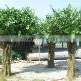 Artificial Banyan Tree Decoration High Simulation Artificial Tree thumbnail-2