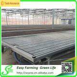 Ebb and Flood Bench for Greenhouse thumbnail-1