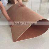 China Shandong Linyi Factory Best Flexible Bent Plywood for Chair Seat thumbnail-1